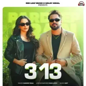 3,13 Cover