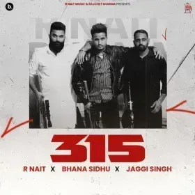 315 Cover