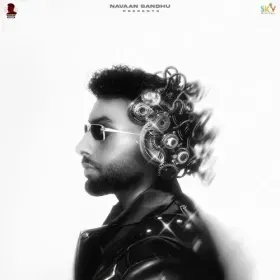 Lighter Cover