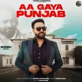 Aa Gaya Punjab Cover