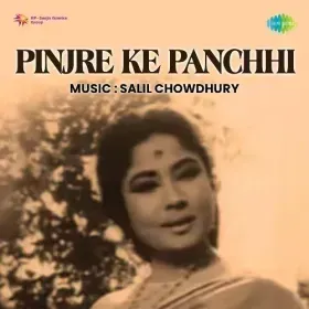 Mere Nain Pakhi Bechare Cover