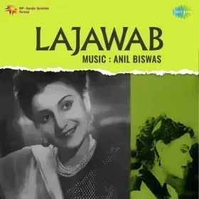 Aaye The Dhadkan Lekar Dil Men Cover