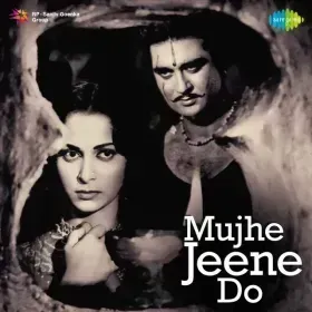 Raat Bhi Hai Kuchh Bheegi Bheegi Cover