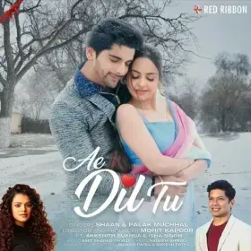 Ae Dil Tu Cover
