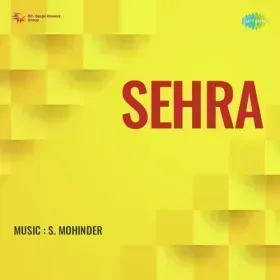 Chanda Ji Teri Chandni Cover
