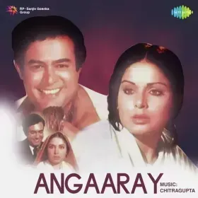 Mujhe Zindagi Ne Mara Cover