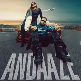 Andaaze Cover