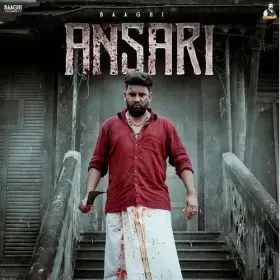Ansari - Baaghi Cover