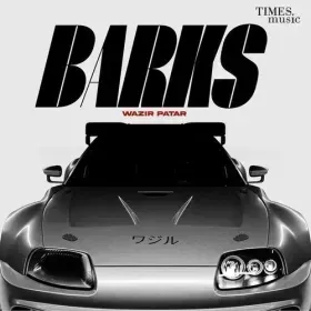 Barks - Wazir Patar Cover