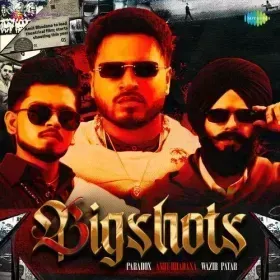 Bigshots - Paradox Cover