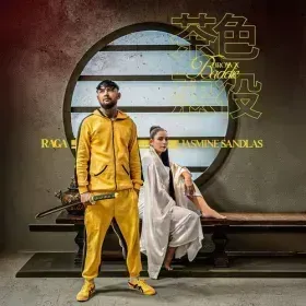 Brown Baddie Cover