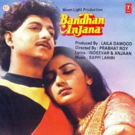 Tu Mera Kaun Hai - Duet Cover