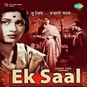 Miyan Meri Biwi Meri Cover