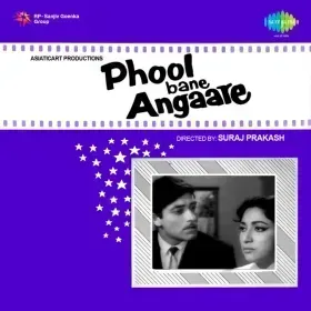 Chand Aahen Bharega Cover