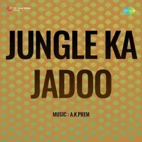 Chandni Raat Mein Jane Kya Baat Re Cover