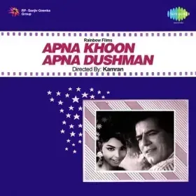 Dilruba Na Sata Aa Bhi Ja Cover