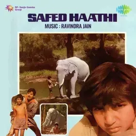 Shikari Raja Aaya Hai Cover