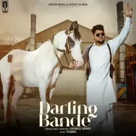Darling Bande Cover