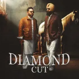 Diamond Cut Cover