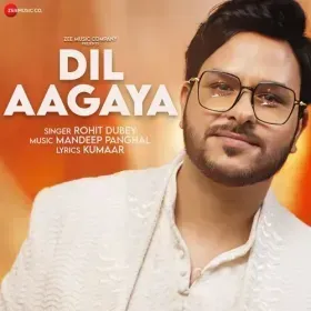Dil Aagaya Cover