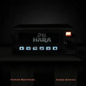Dil Hara Cover