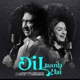 Dil Jaanta Hai Cover
