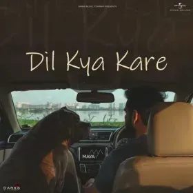 Dil Kya Kare Cover