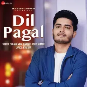 Dil Pagal Cover