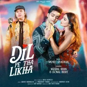 DIL PE THA LIKHA Cover