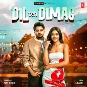 Dil Teh Dimag Cover