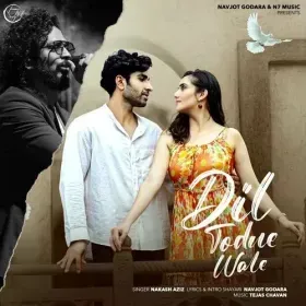 Dil Todne Wale Cover