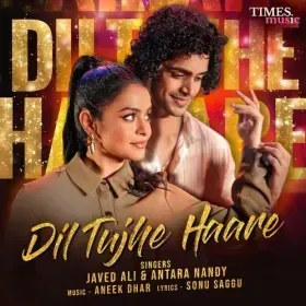 Dil Tujhe Haare Cover