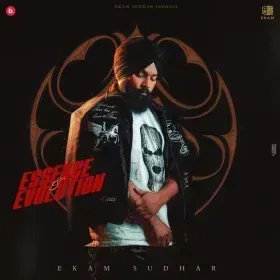 Ego Cover