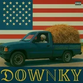 Downky Cover
