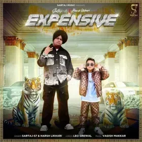 Expensive Cover