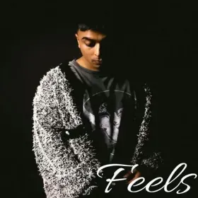 Feels Cover