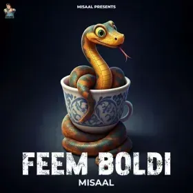 Feem Boldi Cover