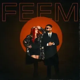 FEEM Cover