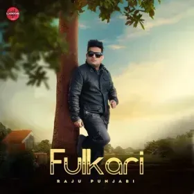 Fulkari Cover