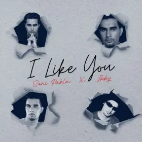 I Like You Cover