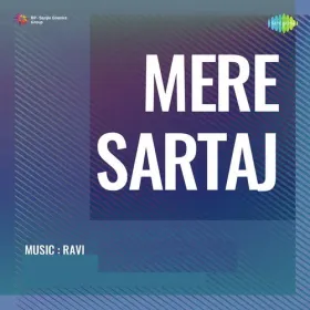 Mera Sab Kuchh Hai Ae Dilruba Cover