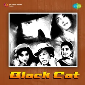 Sitare Raah Takte Hain Cover