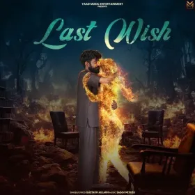 Last Wish Cover