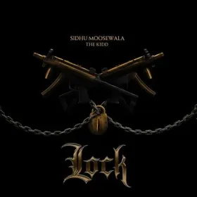 Lock Cover
