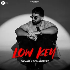 Lowkey - Shivjot Cover
