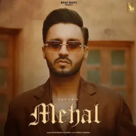Mehal Zafar Brar Cover