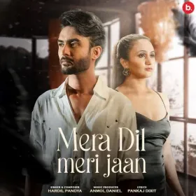 Mera Dil Meri Jaan Cover
