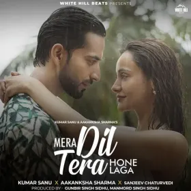 Mera Dil Tera Hone Laga Cover