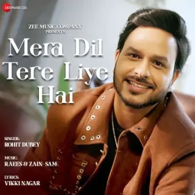 Mera Dil Tere Liye Hai Cover