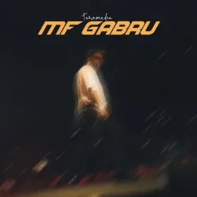 Mf Gabru - Turnmedia Cover